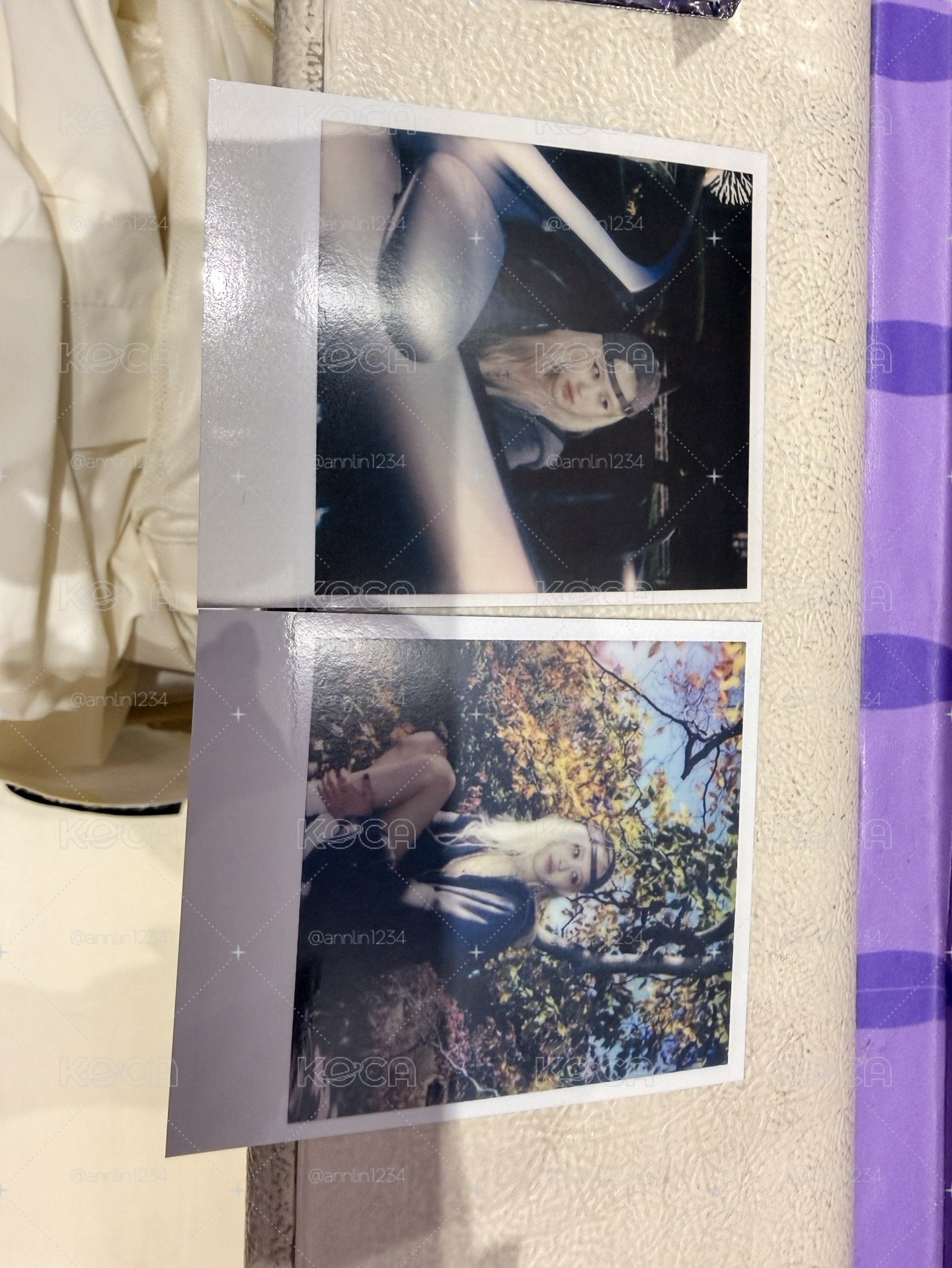 Rosie 台北快閃店拍立得