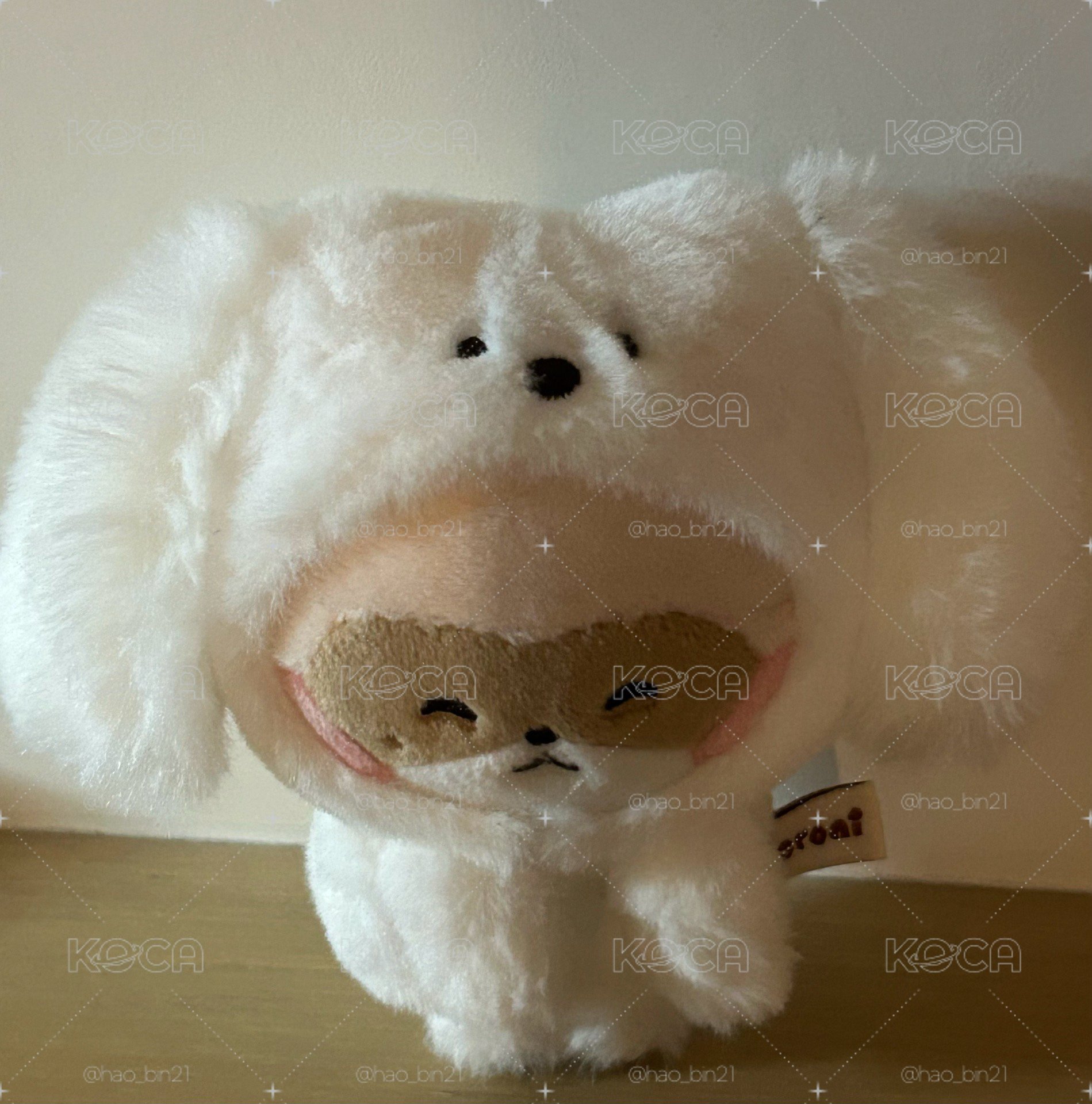 哈尼尼均價580/1娃盤