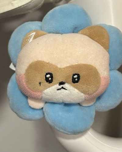 哈尼尼均價580/1娃盤