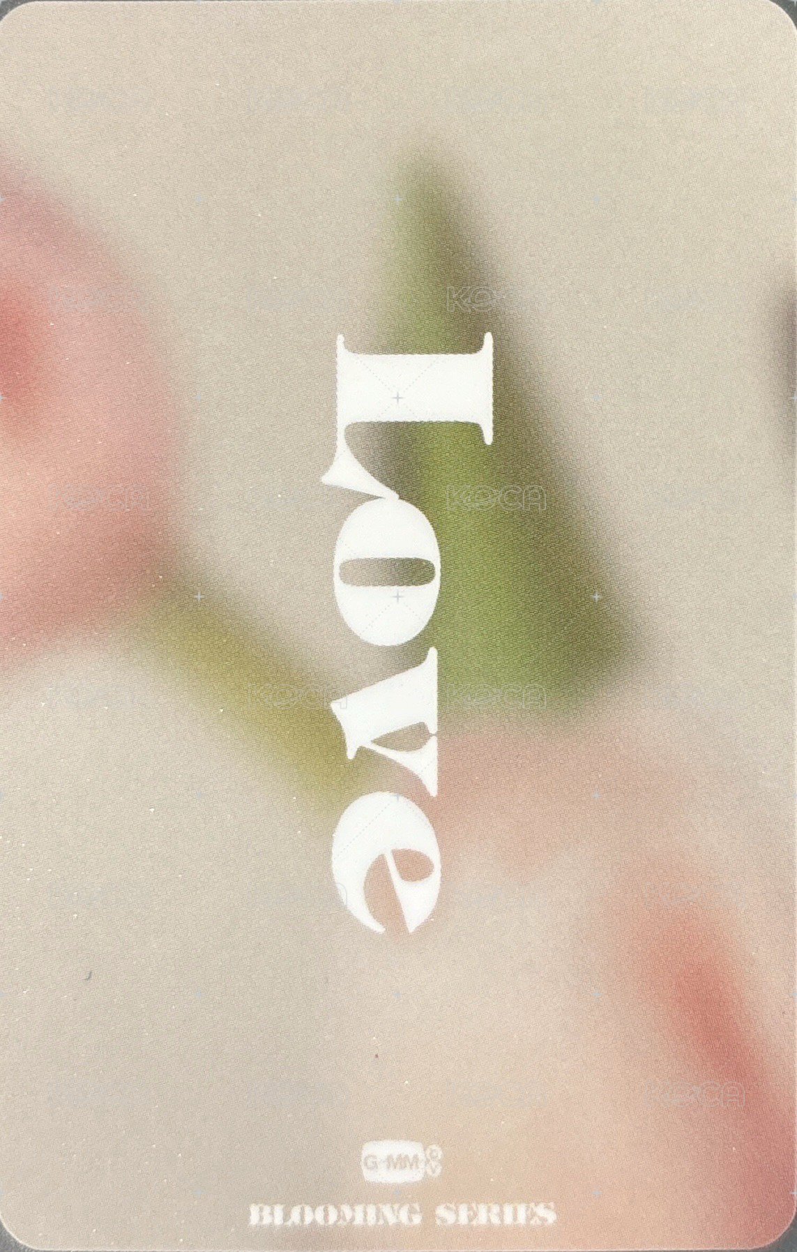 23.5 BLOOMING SERIES 周邊卡 LOVE 背面