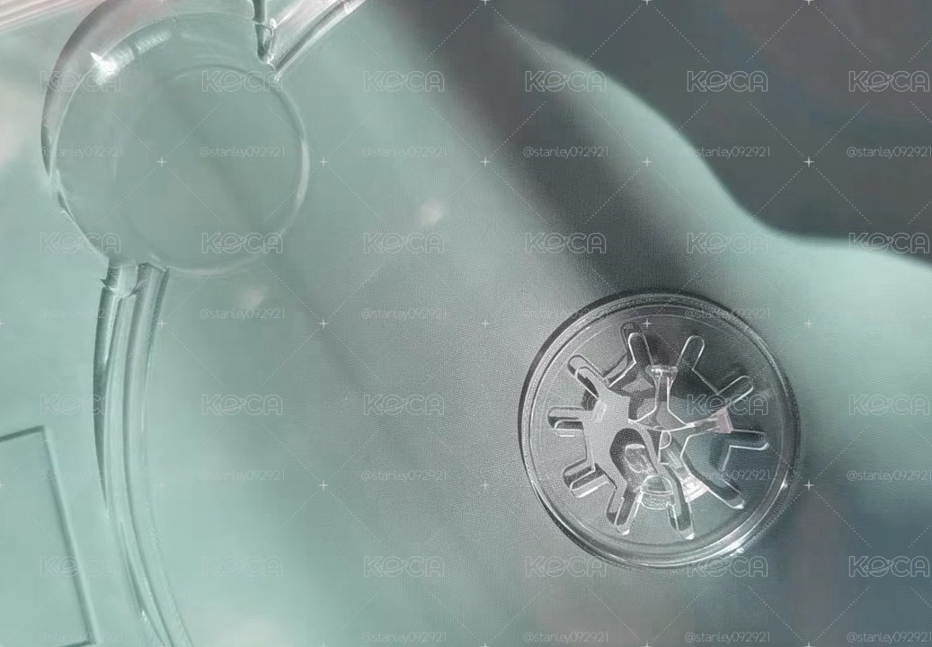 joy bloom 初回限定盤