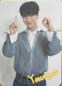 日本10週年FM 周邊卡 薯條卡