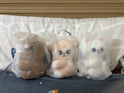 快閃 小抱娃