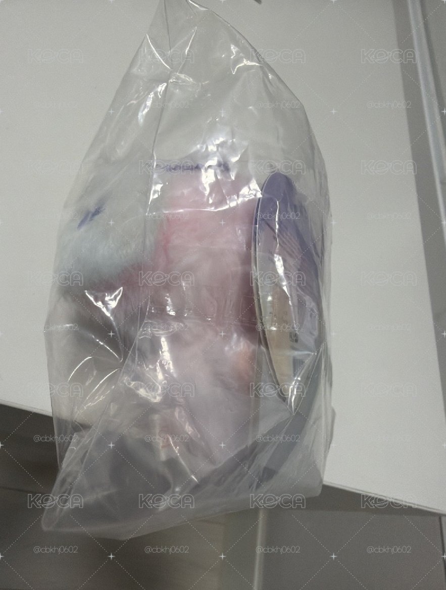 混色版寶寶娃 潤浩（未拆）