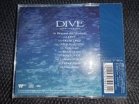 南DIVE未拆專