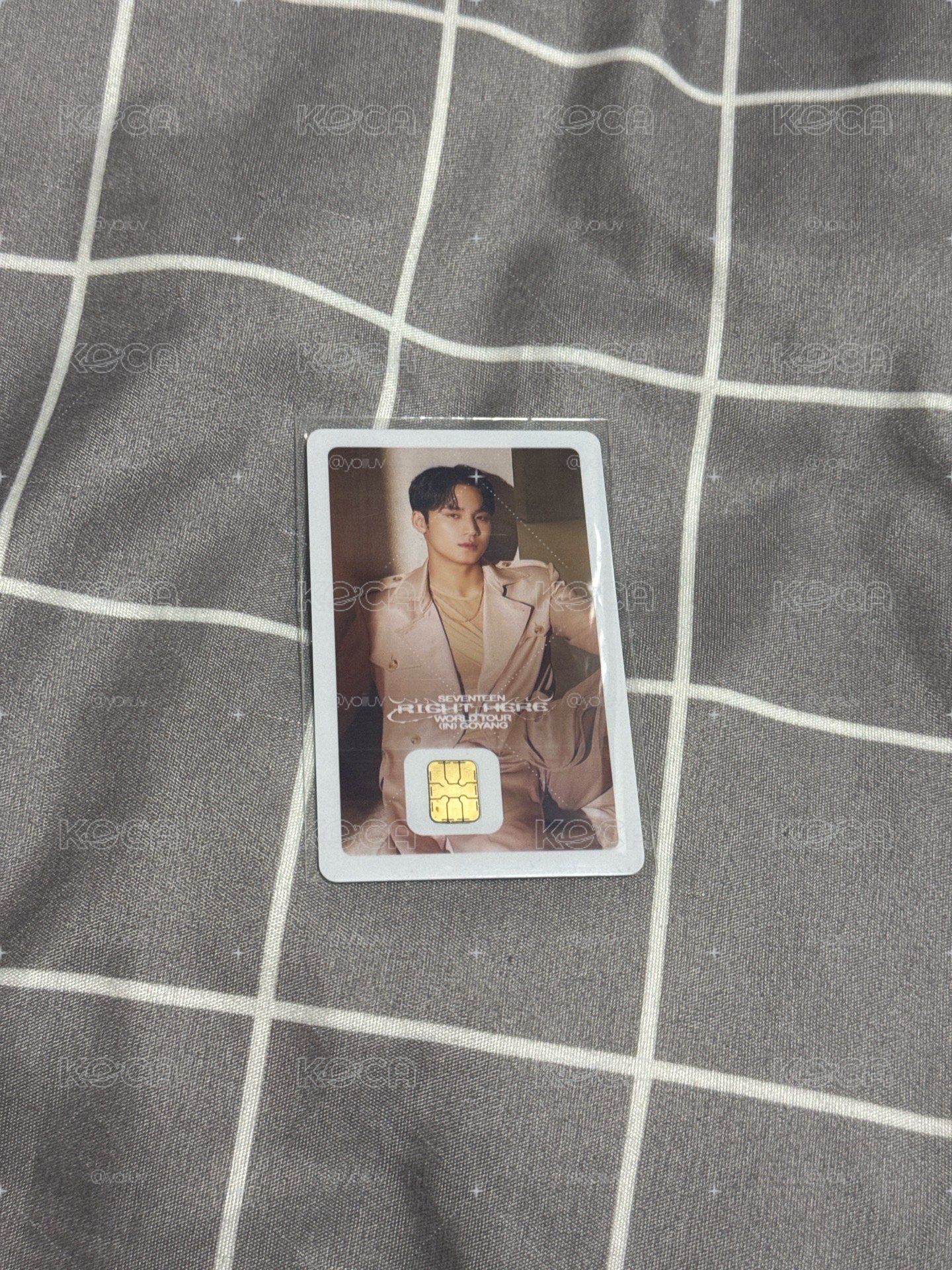 SEVENTEEN 奎 交通卡