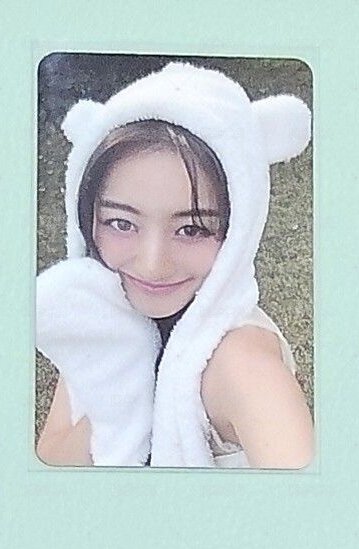 ⭐熊帽效