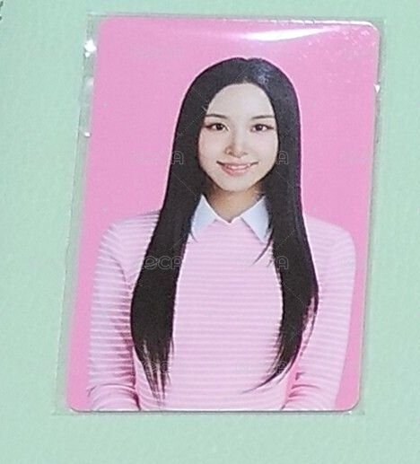 康普茶彩