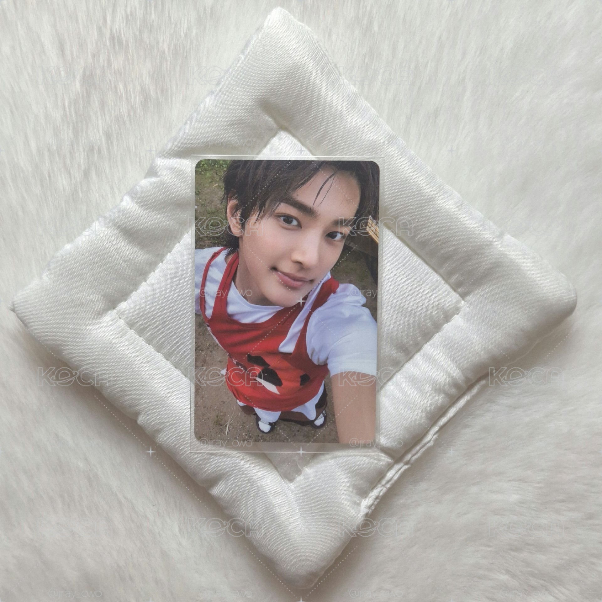 ✨️𝗖𝗢𝗥𝗧𝗜𝗦 電子專鎬全專✨️