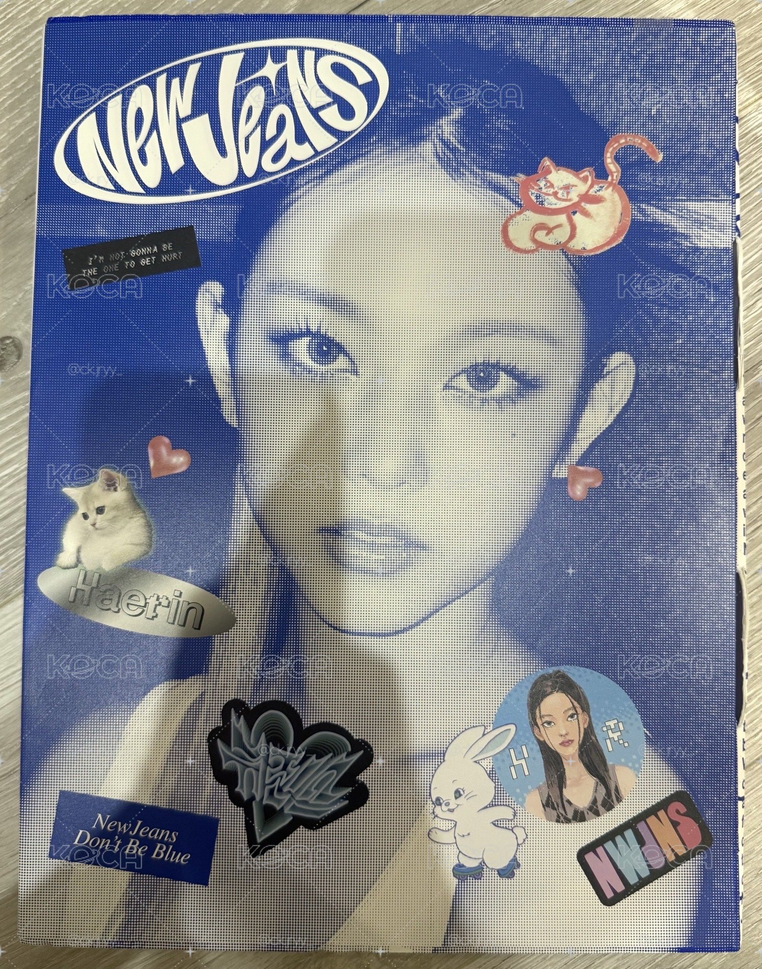 Bluebook Haerin空專