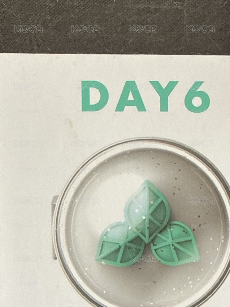 Day6手燈