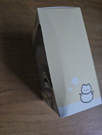 ZB1 乾旭 小盤 11張卡+冬日娃