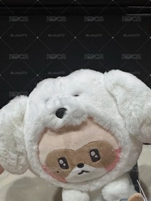 昊動物坐娃