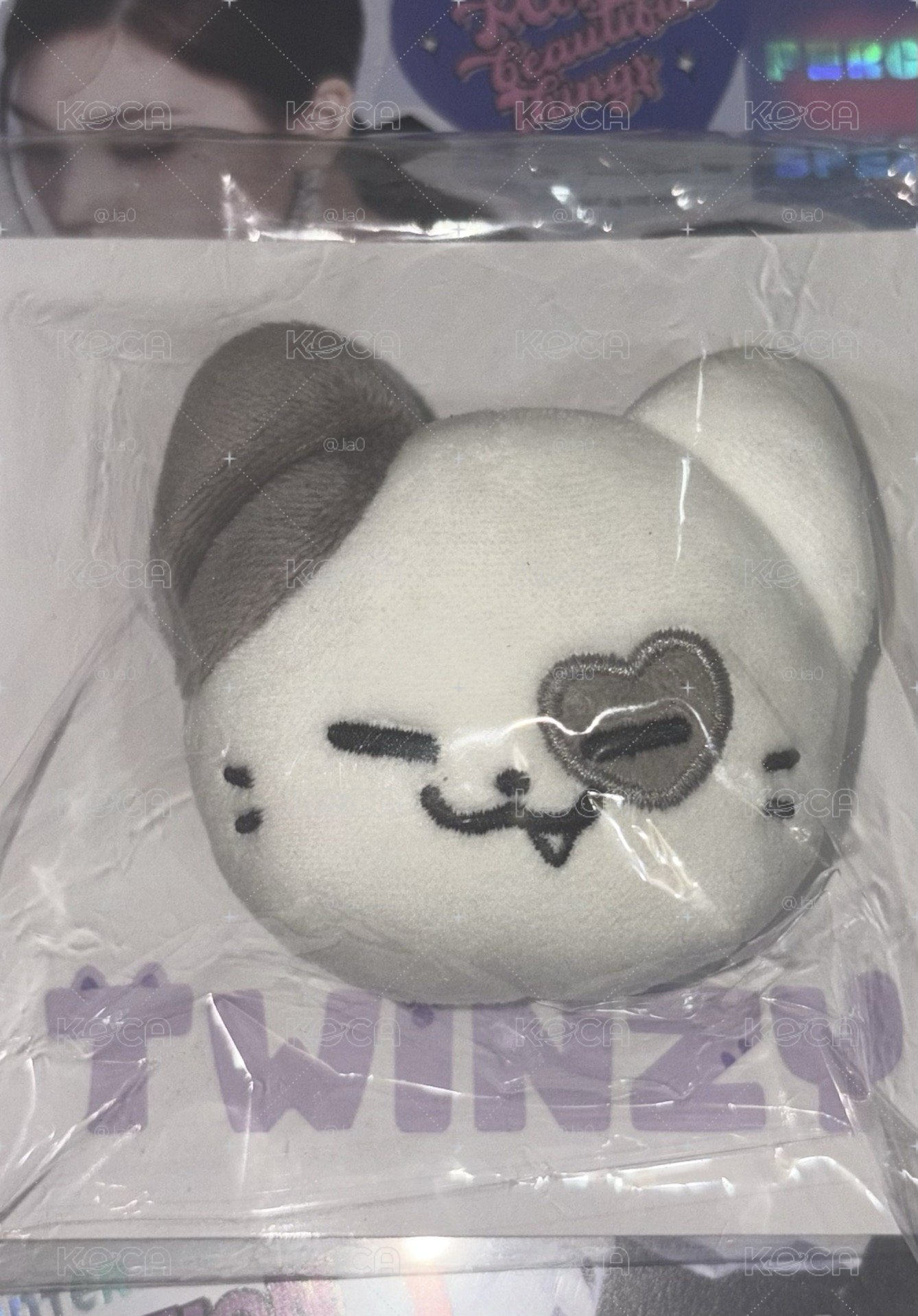 二巡 別針襟章 TWINZY 大頭徽章