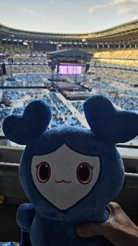 Chayu茶魚