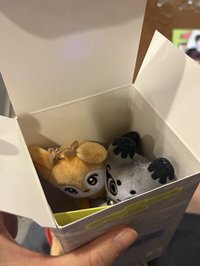 Seita🦌全專