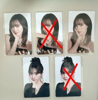 左冬