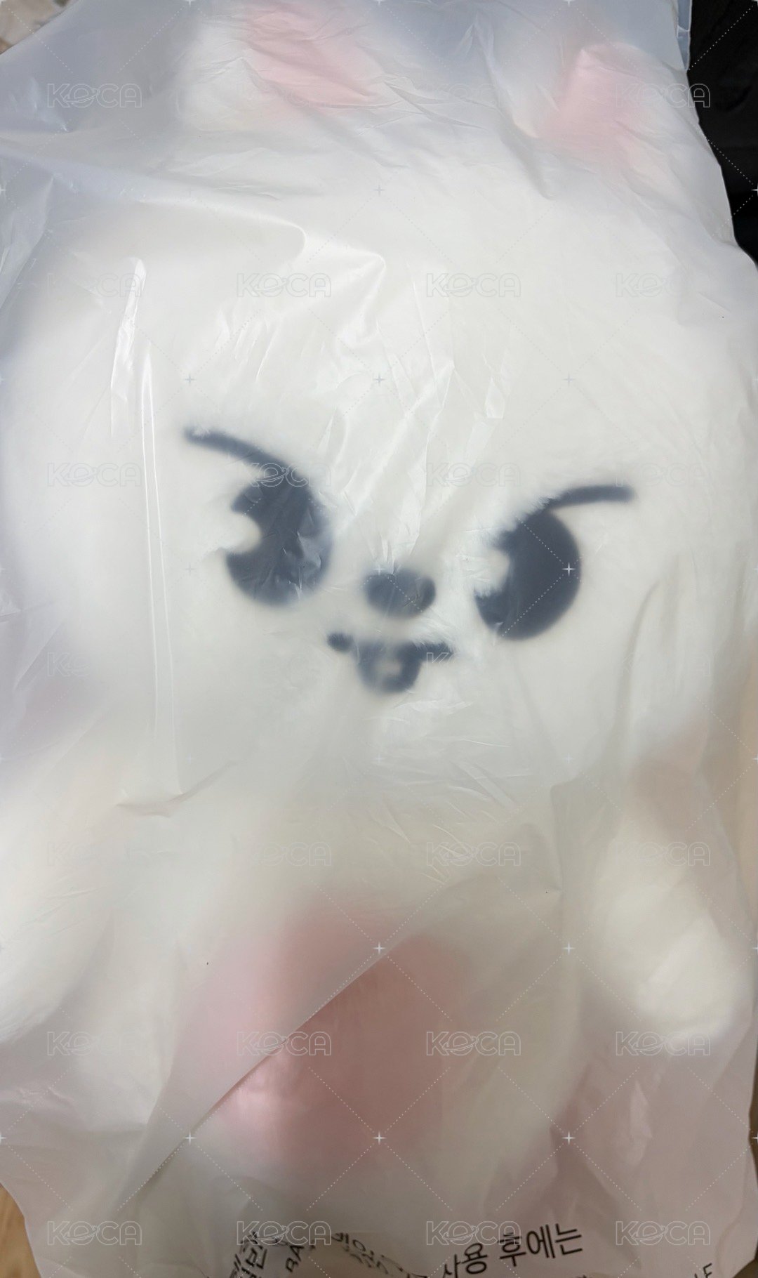 泰迪🐻旻