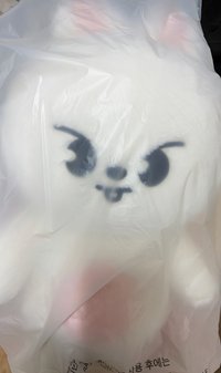 泰迪🐻旻