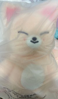 泰迪🐻寅
