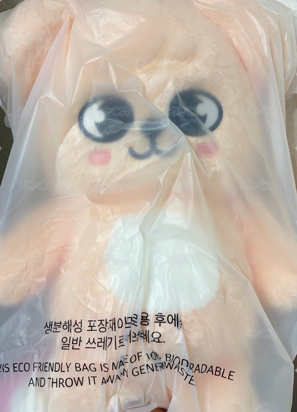 泰迪🐻帕皮