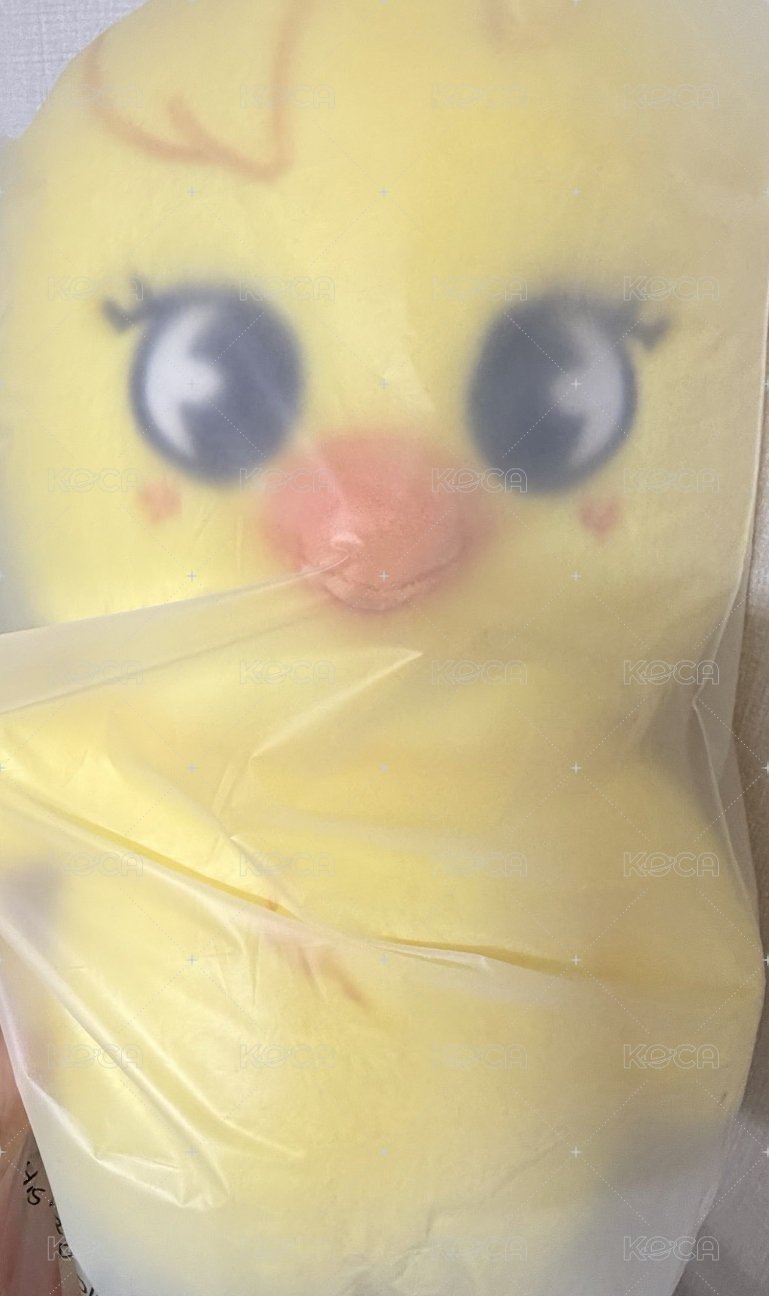 泰迪🐻菲