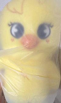 泰迪🐻菲