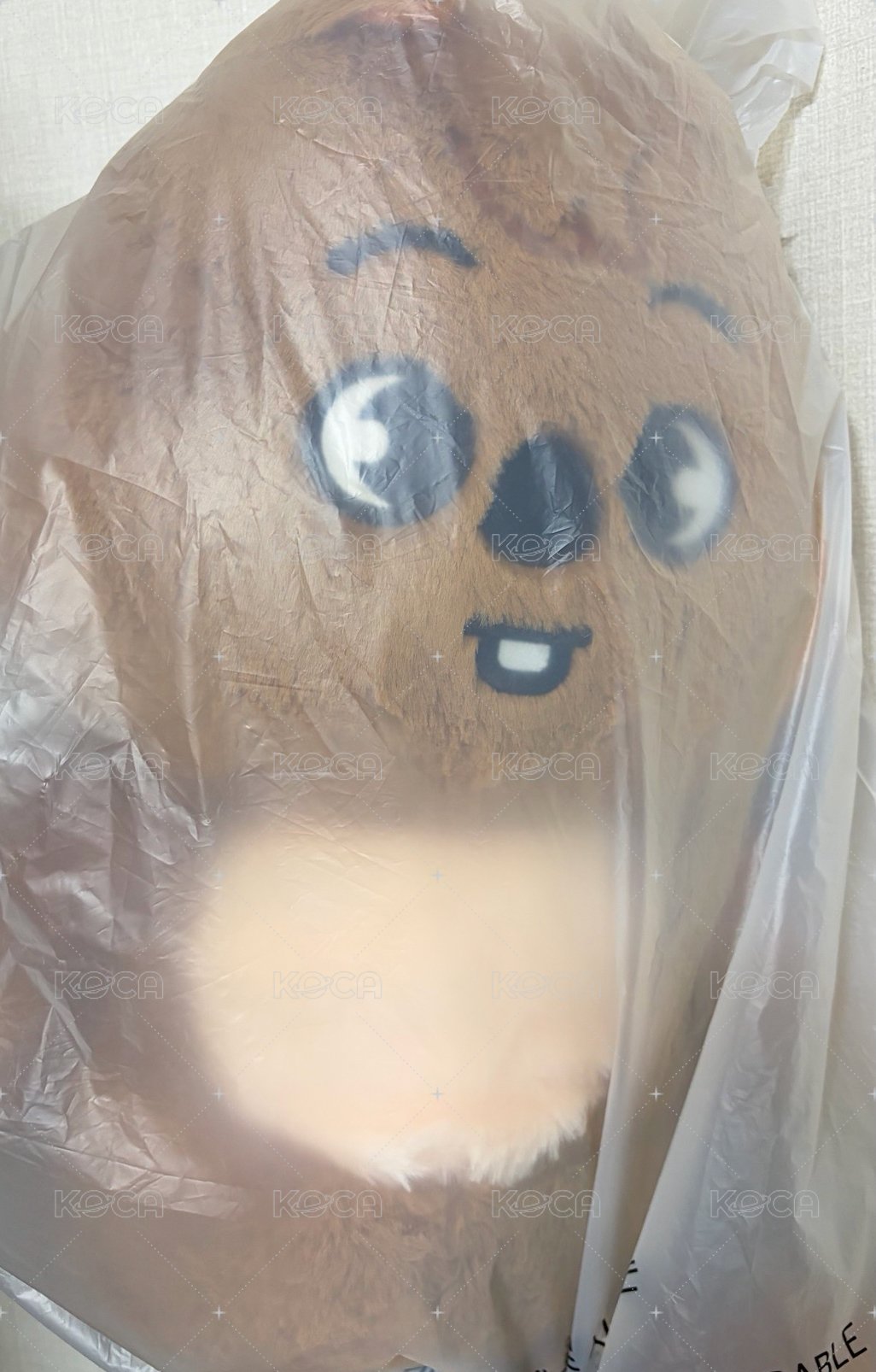 泰迪🐻城