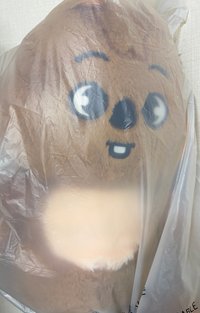 泰迪🐻城