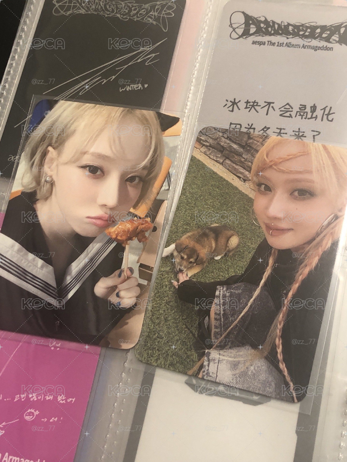 炸雞冬+狗狗冬便宜售！