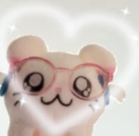 🐈‍⬛
