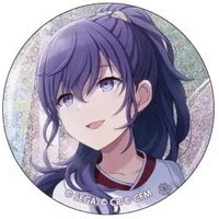 細閃 vol.1 C 徽章 體育祭花前