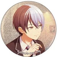 細閃 vol.1 C 徽章 rrk花前