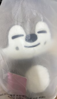 泰迪🐻燦