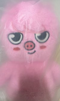 泰迪🐻彬（🈚️護照）