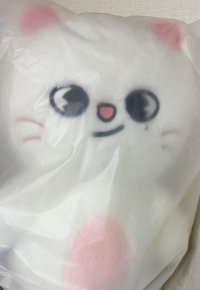 泰迪🐻辰