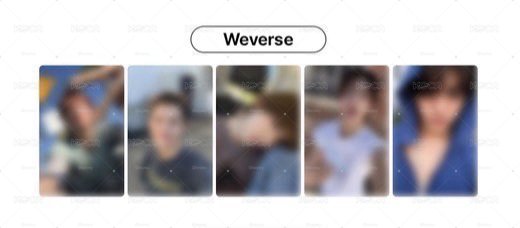 wvs凡