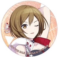 細閃 Colorful Palette Store vol.2 C 特典 徽章 