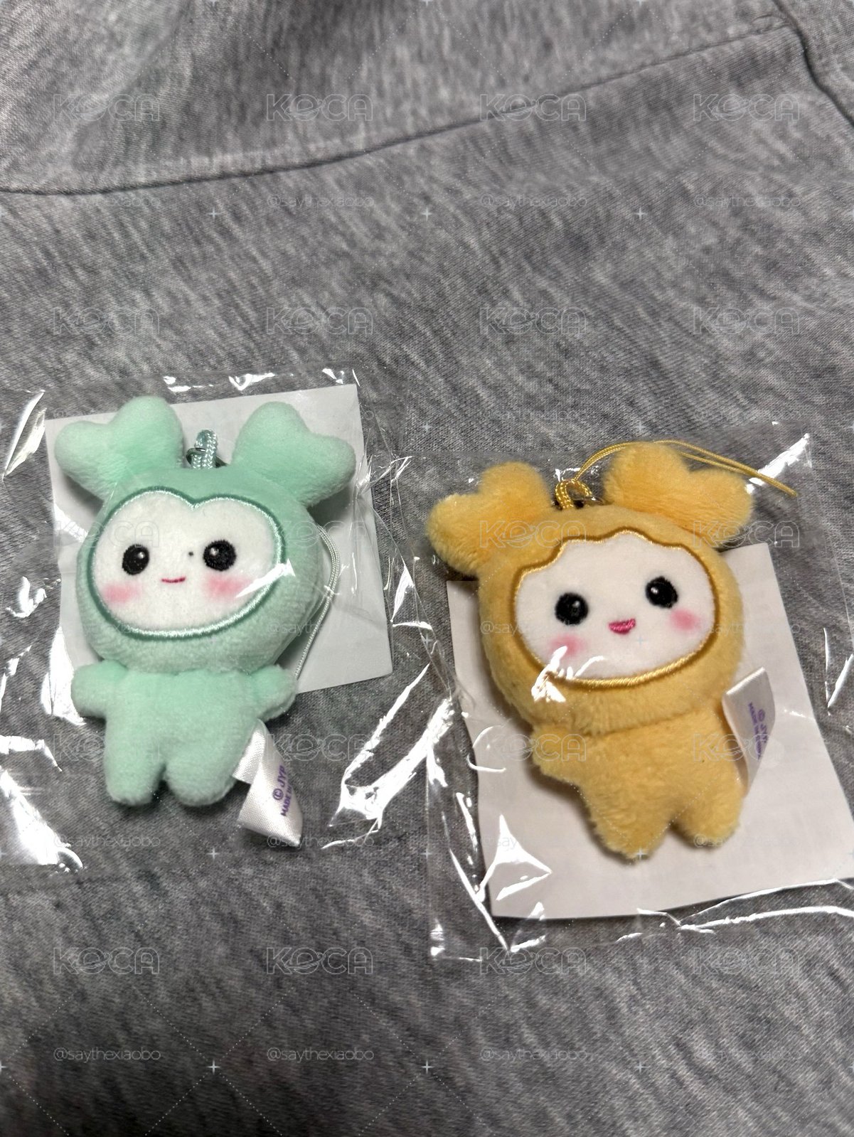 Mina / 志效 Lovely豆豆眼