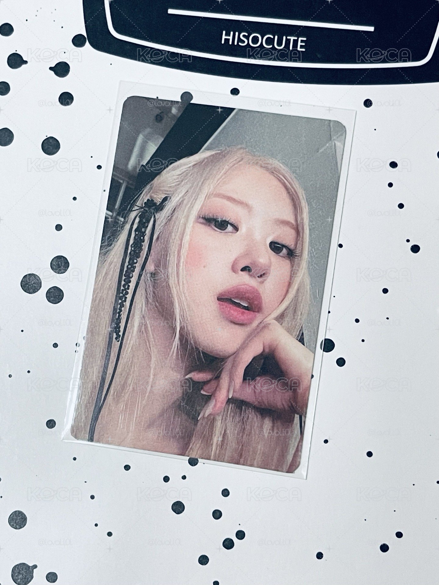  Rose 