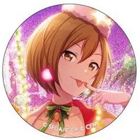 細閃 vol.4 A 徽章 聖誕花後