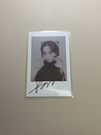 新春柚