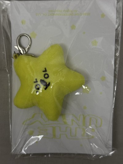 金廷祐 黃色海星（含小卡）