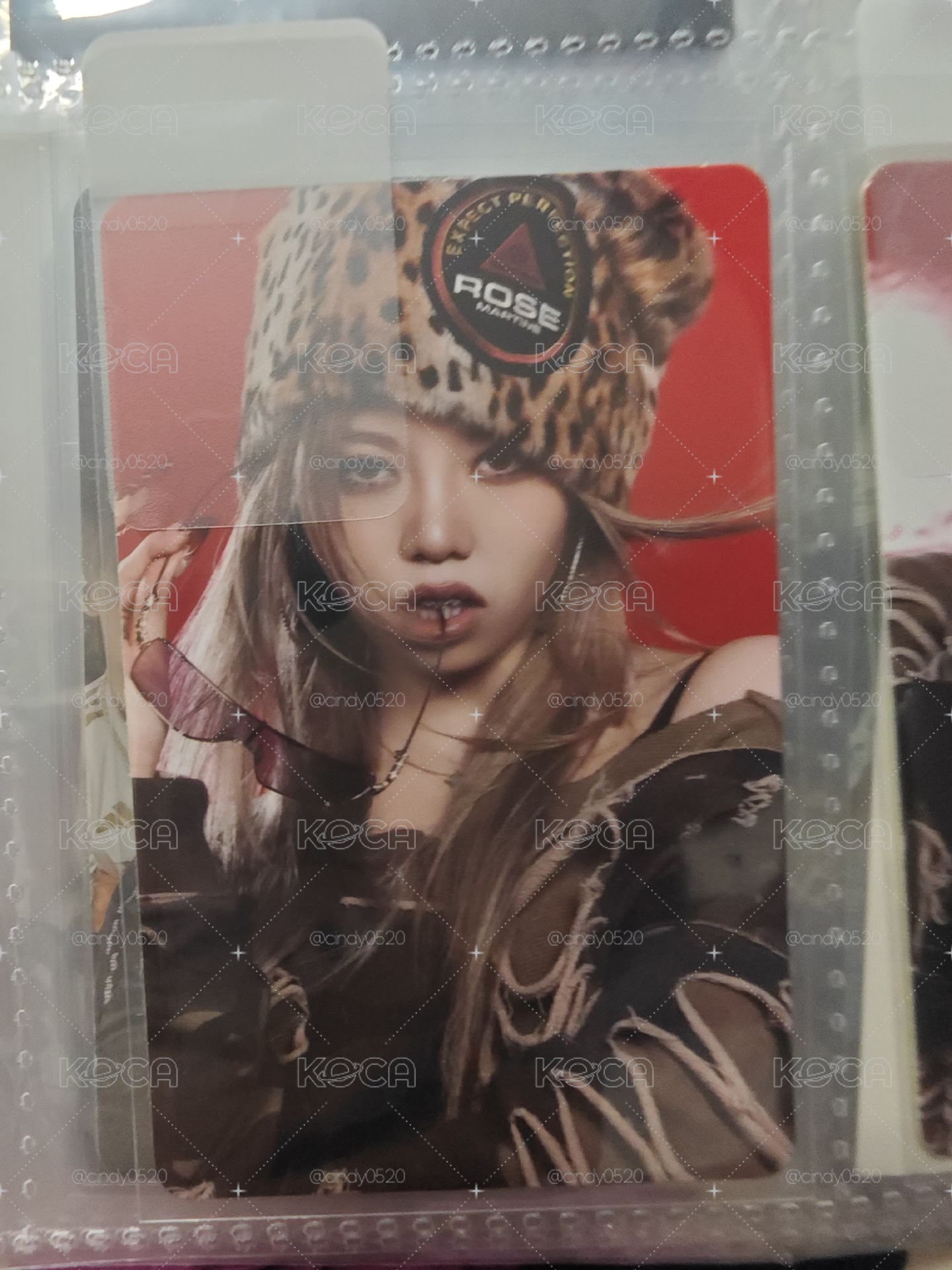 ADP BAILEY 單封專輯卡