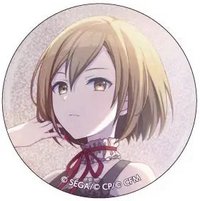 細閃 vol.5 C 徽章 IDS花前