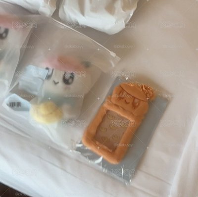 現貨 香港new 娃包/蹦蹦卡套