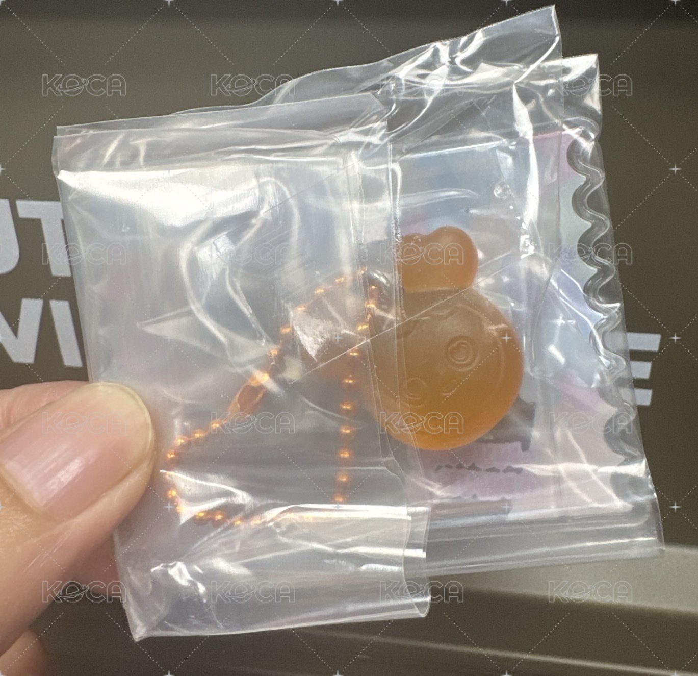 志效