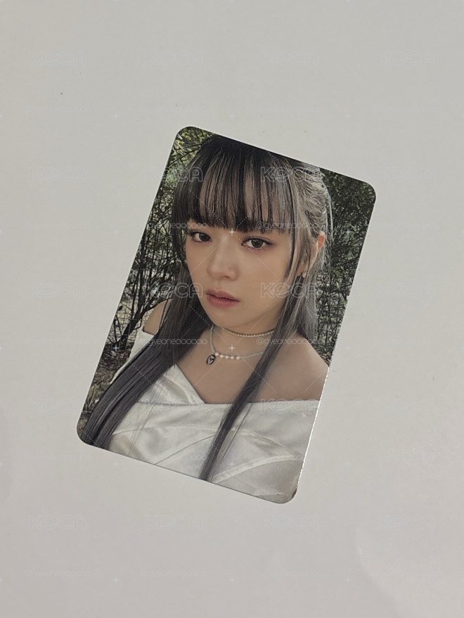 twice迷13綠版全專（熊帽紗）
