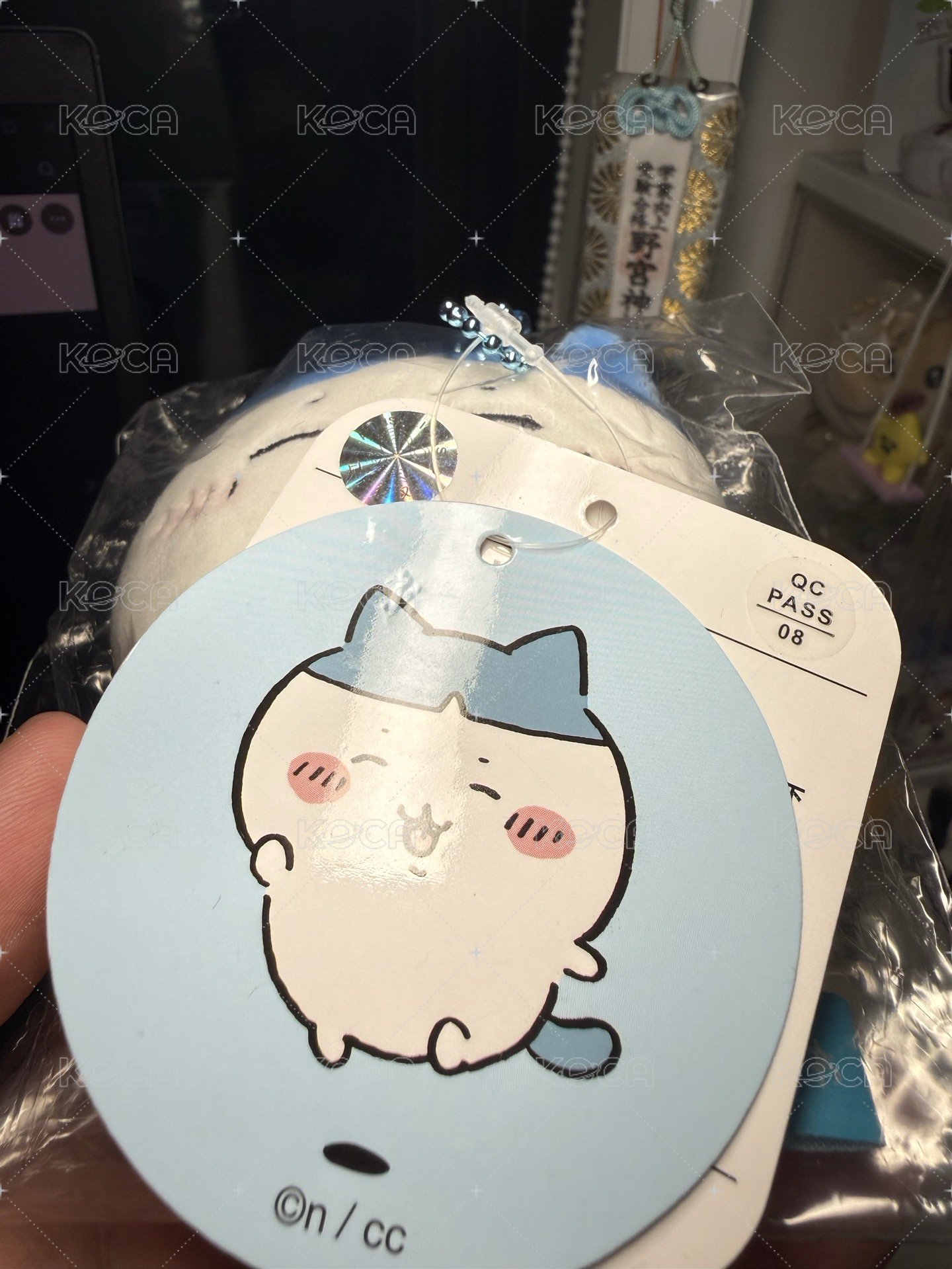 天貓打招呼小八