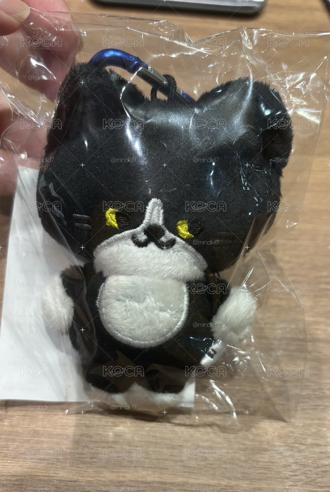 日週娃 藝貓